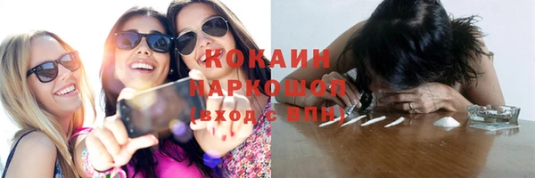 крисы Баксан