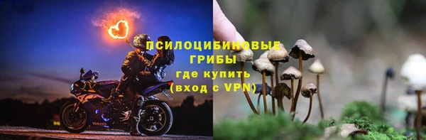 крисы Баксан