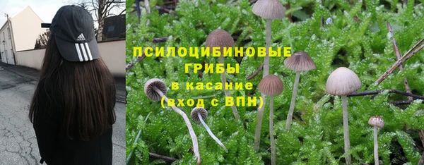 синтетический гашиш Балахна