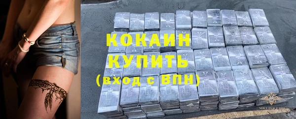 крисы Баксан