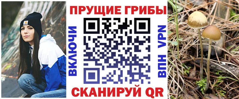 Псилоцибиновые грибы Psilocybine cubensis  цена   Сурск 
